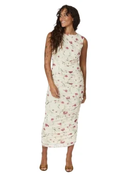 Corilina Artist Mesh Dress