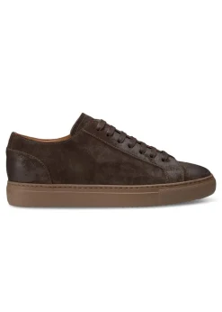 Dark Brown Suede Sneaker