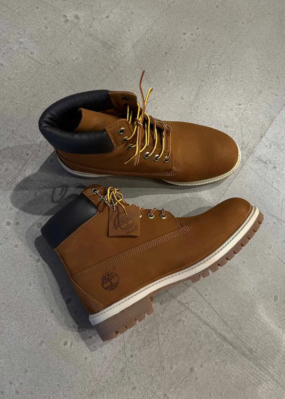 Timberland Premium 6 inch lace